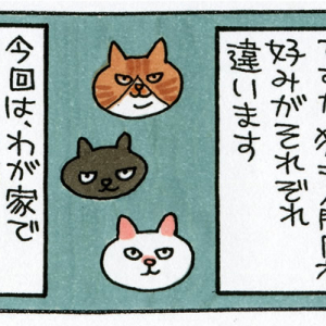 【マンガ】人間同様、好みはそれぞれ「うちの猫とねこまんま」