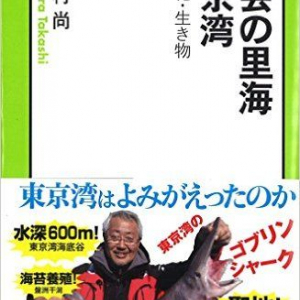 水質は改善しても魚は増えない…　「東京湾」に豊かな生態系を作るには？