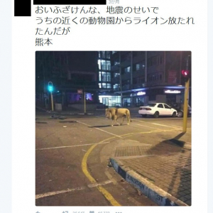 熊本地震直後に「近くの動物園からライオン放たれたんだが」　デマツイートした男性逮捕