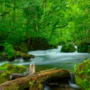 夏旅に最適！行けば間違いなく涼しく快適になれる青森の観光地５選