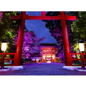 京都・下鴨神社で神秘的な光のアート空間を心静かに感じる☆大切な人と今夏に行きたいロマンティックな夜イベント