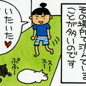 【マンガ】暑い夏は猫と戯れよう