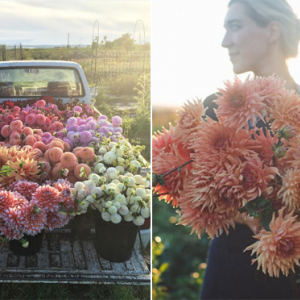 こんな生活に憧れる♡美しいお花に囲まれて暮らす花屋さんのインスタグラムに癒される