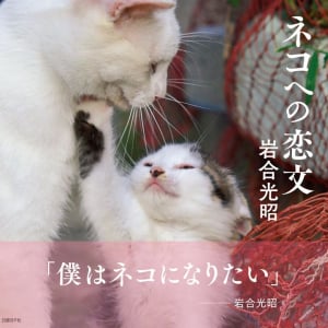 ネコ好きから圧倒的人気の動物写真家、岩合光昭のネコ写真集が最高すぎる