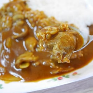 【1人でも余らないよ】カルディの「直火焼き カレー・ルー」が本格的！ 1皿から作れちゃう