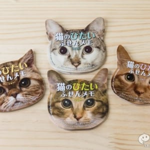 なにこれ狭すぎぃ！ 可愛すぎるけどメモスペースがかなり狭い『猫のひたい ふせんメモ』が登場