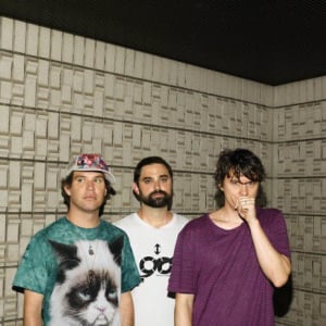 Animal Collective『Painting With』Interview