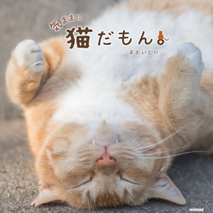 ツイッターで大人気「鼻提灯猫」の写真家が、“気ままなネコ”の写真集発売