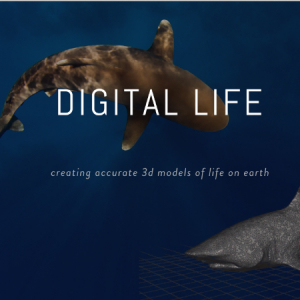 地球のあらゆる生物を3Dモデルで標本にするプロジェクト「Digital Life」