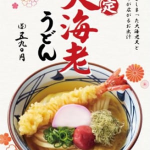 大海老がドーン！丸亀製麺が年末年始に「大海老うどん」を限定販売