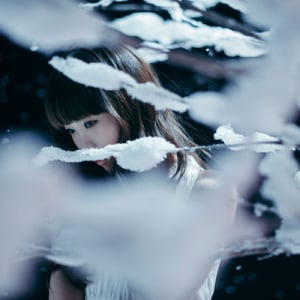 Aimer、来年2月リリースの新曲「凍えそうな季節から」は倉科カナ主演ドラマのOPテーマ