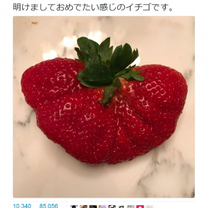 「明けましておめでたい感じのイチゴです」　松本人志さんが新年の挨拶ツイート
