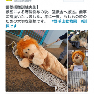 安全を守る為の真面目な取り組みだけど……着ぐるみを使った動物園の“脱走訓練”が和む