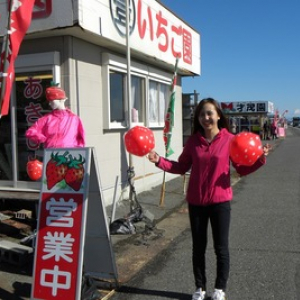 いちご狩り発祥の地・静岡市 絶品の石垣いちごといちご娘