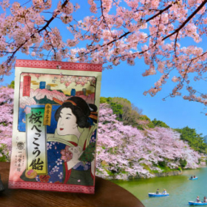 千鳥ヶ淵の桜にうっとりしちゃう「千代田区さくらまつり」会場限定「桜べっこう飴」もステキ♡