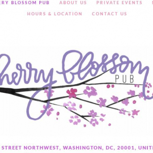 日本リスペクトがすごい　桜の名所ワシントンD.C.に桜とマリオをモチーフにしたバーが期間限定でオープン