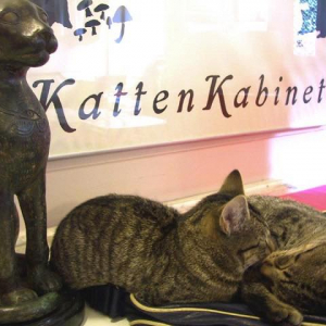 世界中の猫アートが集結するアムステルダムの美術館