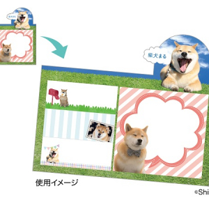 “柴犬まる”に癒される！郵便局限定グッズで毎日ハッピー