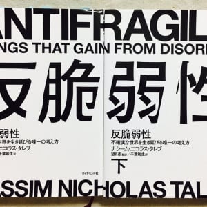 知の巨人が出した、不確実な世界を生き抜くための“答え”　「反脆弱性」とは