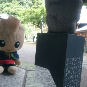 【ぬい撮り】「ベビー・グルートと日本の夏休み」目黒の神社でほっと一息編