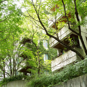 都市の緑、保存する建物づくりを　自然と暮らしをつなげる「里山一体マンション」を巡る