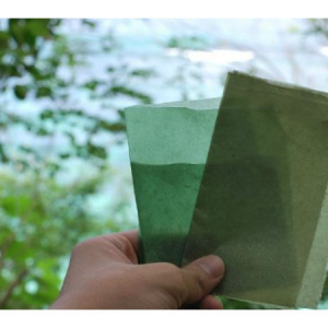 そのまま食用可能!インドネシアの企業が開発する包装紙「Bioplastics」が地球に優しい