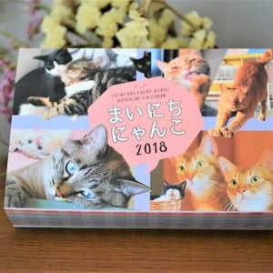 フェリシモ猫部『まいにちにゃんこ 2018』365日猫に癒やされる卓上日めくりカレンダーが今年も登場！