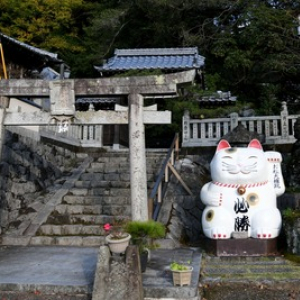 【徳島 最新レポ】 狛猫も絵馬も・・・境内に猫・猫・猫だらけの神社