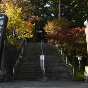 【徳島 最新レポ】 ロープウェイで行く絶景のお遍路寺、きのこ茶もおいしい