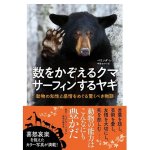 名詞、形容詞、動詞と副詞まで　鳴き声の変化で分かった「会話をする動物」とは？