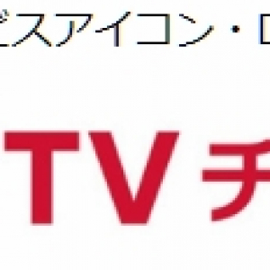 ドコモ、30以上の専門チャンネルを取揃えた「dTVチャンネル」を1月30日に開始