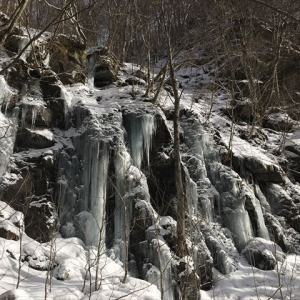 冬しか見られない幻想的な氷瀑のライトアップ【奥入瀬渓流氷瀑ツアー】