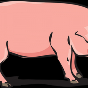 豚肉を世界で一番食べている国はどこ？？1位は意外にもあの国だった！！
