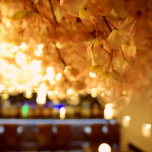 ８０００輪の桜がイルミネーションに照らされる幻想的な 「吉祥寺 夜桜 ２０１８」