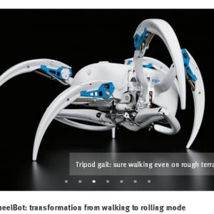 独フェスト社が生物型の最新ロボットを公開　トランスフォーマーのようなクモロボットと半自律飛行が可能なコウモリロボット