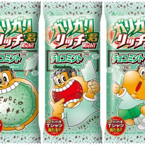 「ガリガリ君リッチ」からチョコミント味が発売！