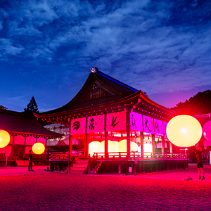 京都・下鴨神社が光と音のアート空間に♡「下鴨神社 糺の森の光の祭 Art by teamLab」が開催