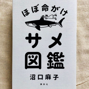 「人食いザメ」のイメージは『ジョーズ』から！？　イメージとは違う「サメ」の生態とは