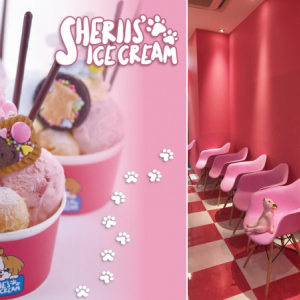 ピンクの店内もかわいすぎ♡名古屋にデコレーションアイス専門店「SHERIE’S ICE CREAM」がオープン