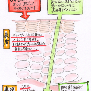 UV対策でいちばん大切なのは“こまめな塗り直し”。日差しに負けない肌メイクのポイントは3つ♡