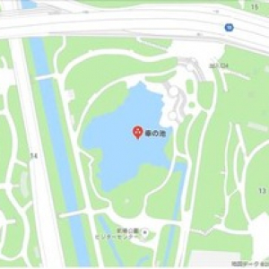 【Googleマップを覗いてみよう】群馬県に鶴舞う形の◯〇が！