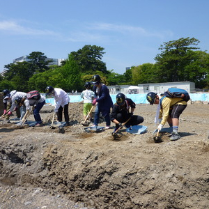 ラストチャンス！ 徳川家康の駿府城でリアル発掘体験、参加者募集