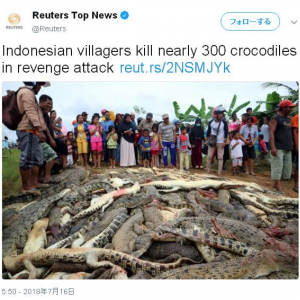 ワニよりコワイのはやっぱり人間　インドネシアでワニの大量虐殺