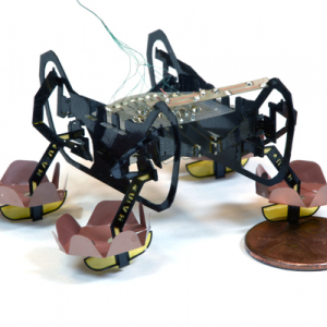 生体模倣技術でアメンボのような水上歩行を可能にしたゴキブリ型ロボット『HAMR』　開発したのはハーバード大学