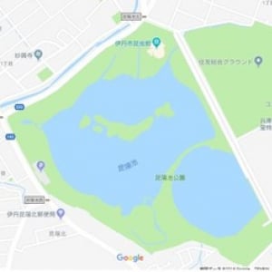 【Googleマップを覗いてみよう】渡り鳥の飛来地がなんと…