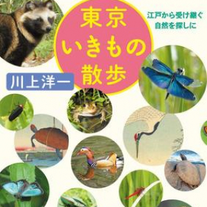 都会で自然といきもの探し　この夏は「江戸」と「東京」を繋ぐちょっと変わった街歩き