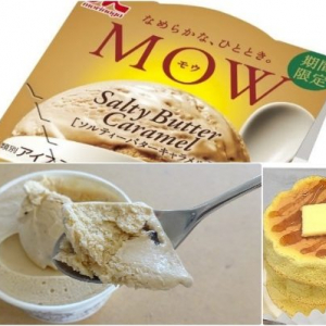 注目の新作アイスは発売間近の「MOW」：みんなが“食べたい”新商品ランキング