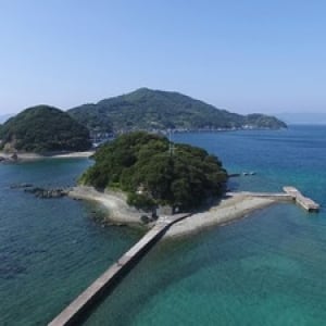 【えひめ 最新レポ】 八幡浜大島に「大島テラス」オープン、しまカフェや島民との交流も