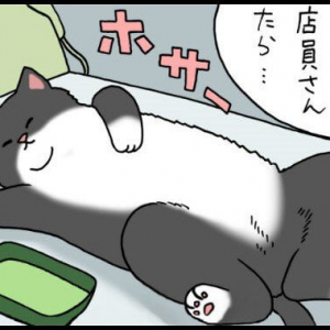 【漫画】レジネコ　第52回（作：キューライス）
