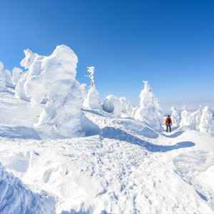 トラベルライター２２人が選ぶ、おすすめ観光地ランキング【山形編】